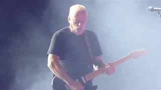 David Gilmour - Money Solo (Firenze 2015)