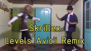Skrillex - Levels Avicii Remix