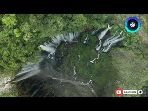 Egzod & Maestro Chives   Royalty ft  Neoni (no copyright Free music) Full HD