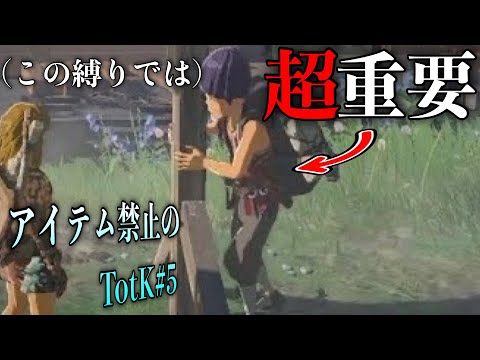 "アイテム禁止縛り"では、カバンダが生命線になりそうです。【アイテム禁止のティアキン】part5