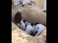 Do Din Ka Ye Safar ️hain