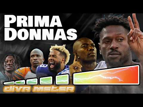 The 5 levels of Diva Wide Receiver