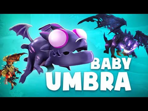 Baby Umbra New Tournament part 2 - Hungry Dragon