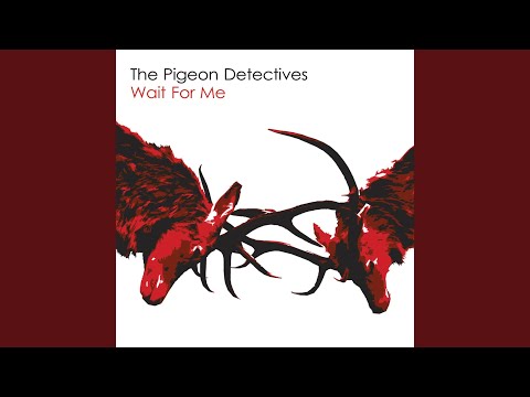 I'm Not Sorry - The Pigeon Detectives