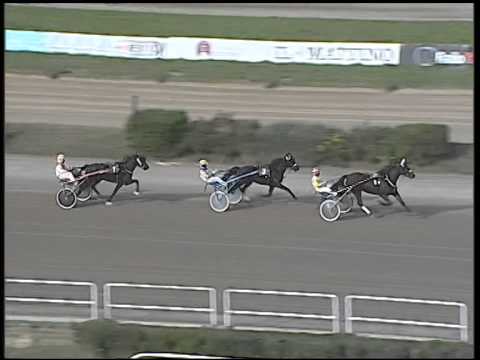 Trotto 16/11/2014 - prova di qualifica