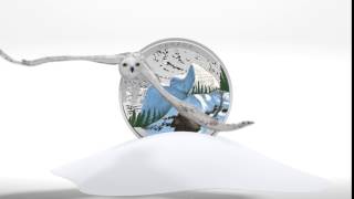 Royal Canadian Mint - Animal illusion, Snowy Owl