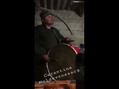 Carantina Moldovenească