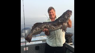 Ling Cod Fishing Nanaimo BC