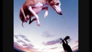 Paul Gilbert - Wrong Man