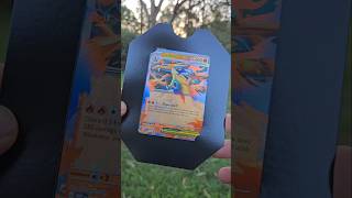 Mega Charizard Tin with some visitors #chickens