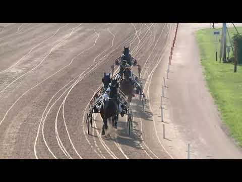 2019.06.08. 09. futam - BUTTERFLY DÍJ