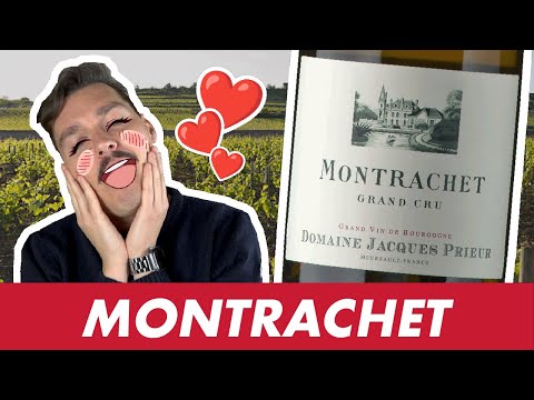 CVQM #5 : MONTRACHET le Grand Cru de BOURGOGNE Blanc le plus iconique ✨˶◕‿‿◕˶✨