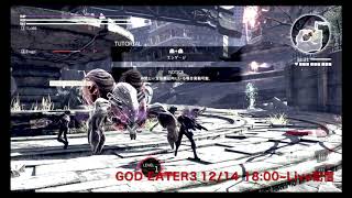 GOD EARTER3 02
