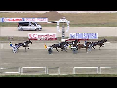 Napoli Trotto 21/09/2023 - 3ª corsa