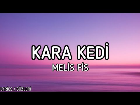 Melis Fis - Kara Kedi [Lyrics / Sözleri]