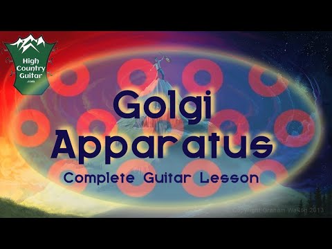 How to play Golgi Apparatus by Phish / Trey Anastasio (guitar lesson)