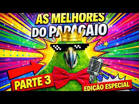 O Papagaio Surta de Rir 😂 | As Melhores Piadas, Gritos e Respostas (PARTE 3 OFICIAL)