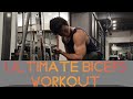 Ultimate Biceps Workout | Brandon Lee Fitness
