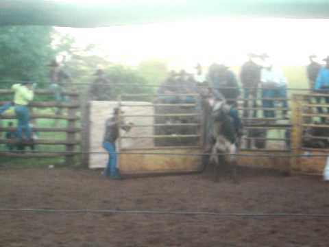 Rodeio Uniao de minas !