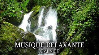 Musique Zen Nature - Relaxation Pour se Détendre - Méditation pour Dormir