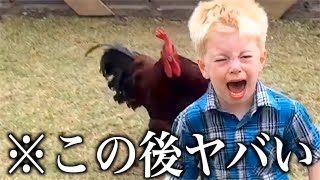 【神回】ツッコミどころ満載な動物おもしろ動画見ようぜwwwwww⑤【ハプニング映像】【犬】【猫】