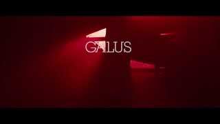 Galus - Flowers Eat Animals [UKM 037] (video teaser)