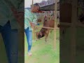 Imranhossain90 Funny Video