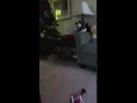 Skylanders shorts: episode 1: worst emergency room ever!