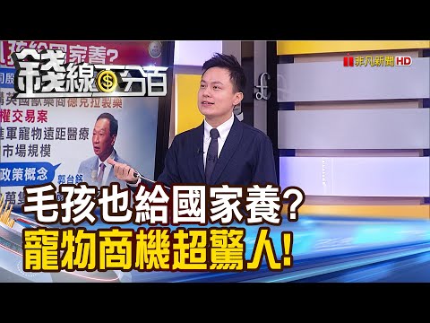 寵物商機