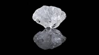 Saltland - A Common Truth