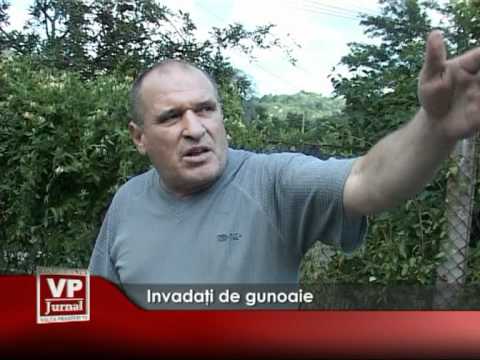 Invadaţi de gunoaie