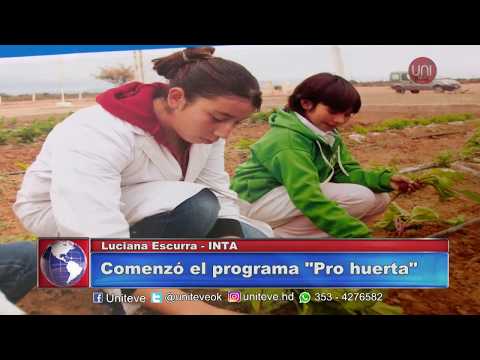 Inició el programa Pro Huerta
