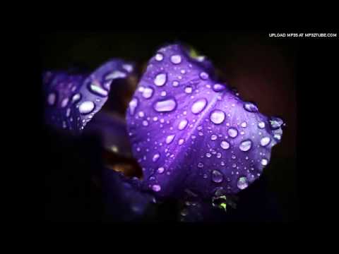 The High Violets - Sparkle
