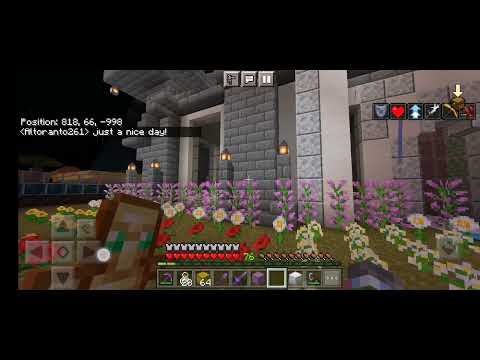 a cursed day on my minecraft world clip :2