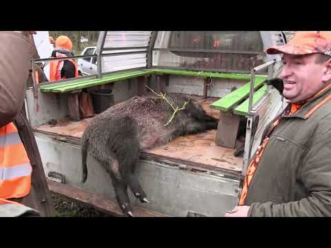 Polowanie Wigilijne 2024 - Koło Łowieckie nr 13 "Szarak" w Dobrej