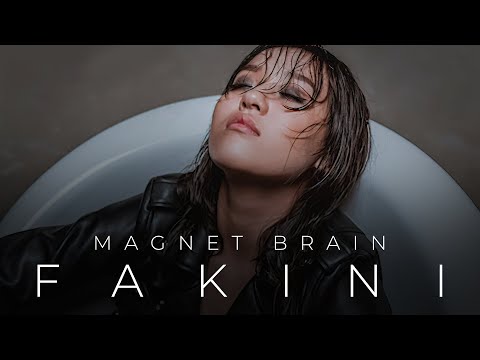 Magnet Brain-Fakini (Audio)
