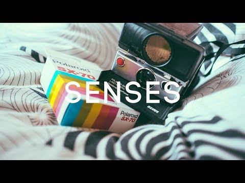 Tyga Type Beat x TY Dolla Sign Type Beat  Senses | R&B Type Beat | R&B Instrumental