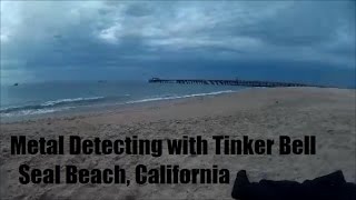 I caught Tinker Bell in the sand at Seal Beach