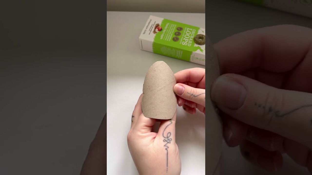 Easter Enrichment Ideas for Small Pets | Easter Forage Hay & Treat Garland for Guinea Pigs & Rabbits