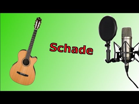 Schade Song