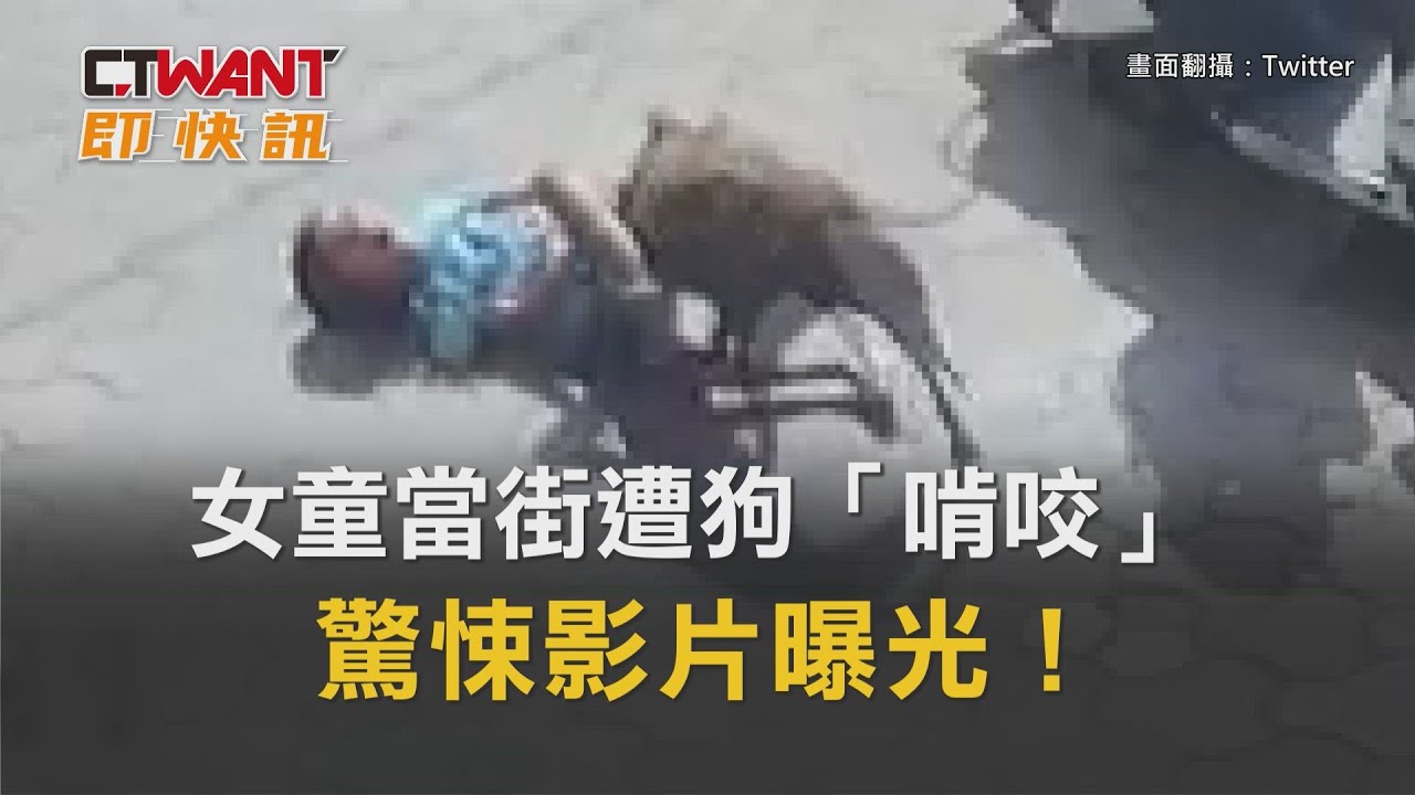 圖說-女童當街遭狗「啃咬」 驚悚影片曝光！