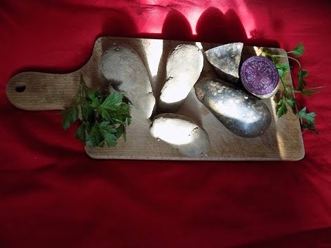 Magiczne rośliny i zioła szamanów  cz 4 - Niebieskie / purpurowe ziemniaki Vitelotte