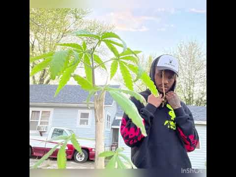 GREEDY CHULO - Easy Greasy