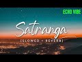 Satranga (Slowed + Reverb) | Arijit Singh | Animal | Echo Vibe