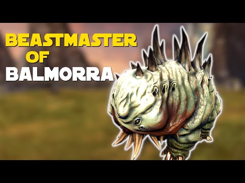 Beastmaster of Balmorra - All 4 Locations - SWTOR Galactic Beastmaster