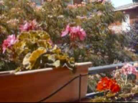 download lagu mp3 mp4 Heirich Boll, download lagu Heirich Boll gratis, unduh video klip Heirich Boll
