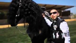 Gabriel Silva - Guerrero Enamorado