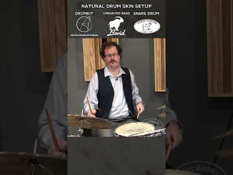 Natural CALFSKIN drumheads on this gorgeous Ludwig Legacy Maple drum kit