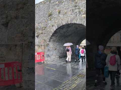 El coleccionista latinoamericano impacta muy positivamente en Arco