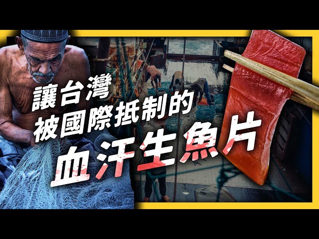 生魚片背後有怎樣的血淚故事？台灣的遠洋漁業為何被點名為「人口販運」？｜志祺七七